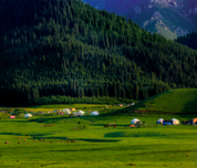 烏蘇市巴音溝景區(qū)風(fēng)光